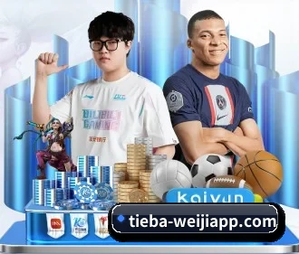 维基体育 APP 界面